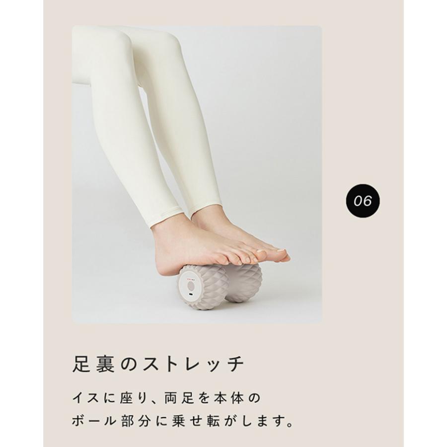 SIXPAD シックスパッド パワーローラー ツインズ Power Roller SIXPAD シックスパッド パワーローラー ツインズ Power Roller