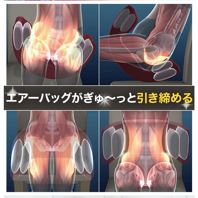 ◾️貴重品◾️姿勢の基本は骨盤から骨盤プログラム 希少品》姿勢の基本は骨盤から骨盤プログラム