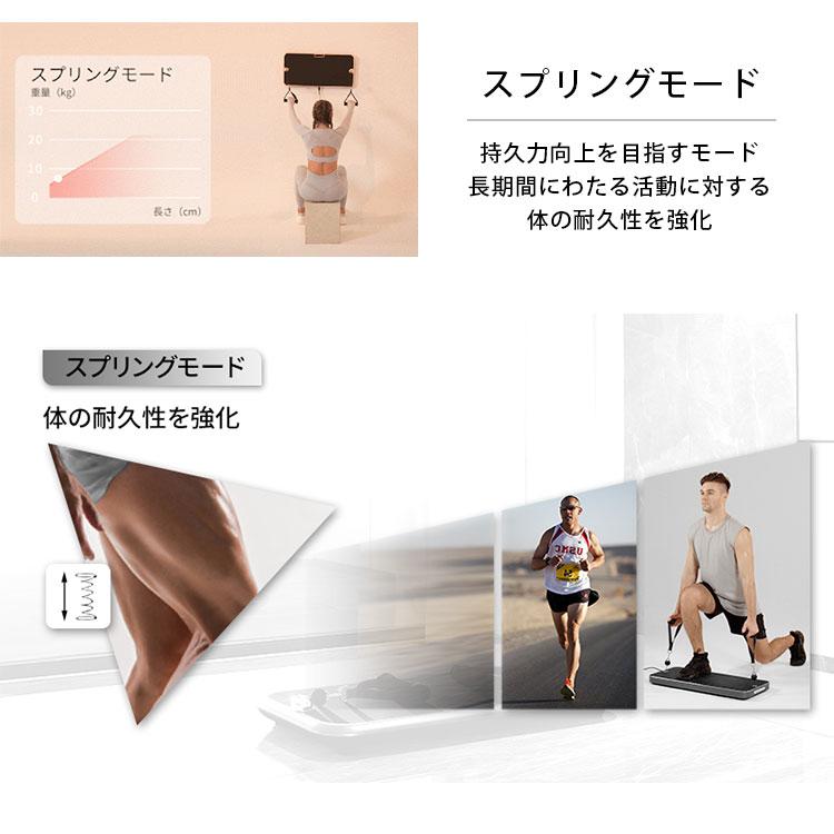 動画あり INNODIGYM ホームジムマシン P1 Lite Plus 壁掛け