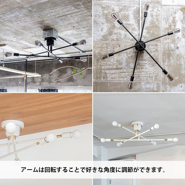 SCHIM SCHIMMEL【ライトオブホーム】395限定 晴香堂 ジオセラミックヘッドライトコート クリーナーパッド 1個