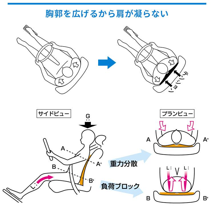シートバッククッション Back to バックトゥバック ドクターエル