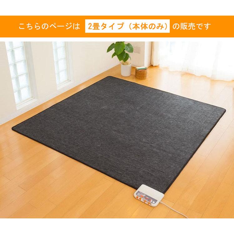 ゼンケン 電磁波99％カット ホットカーペット 2畳タイプ 本体のみ ZCB