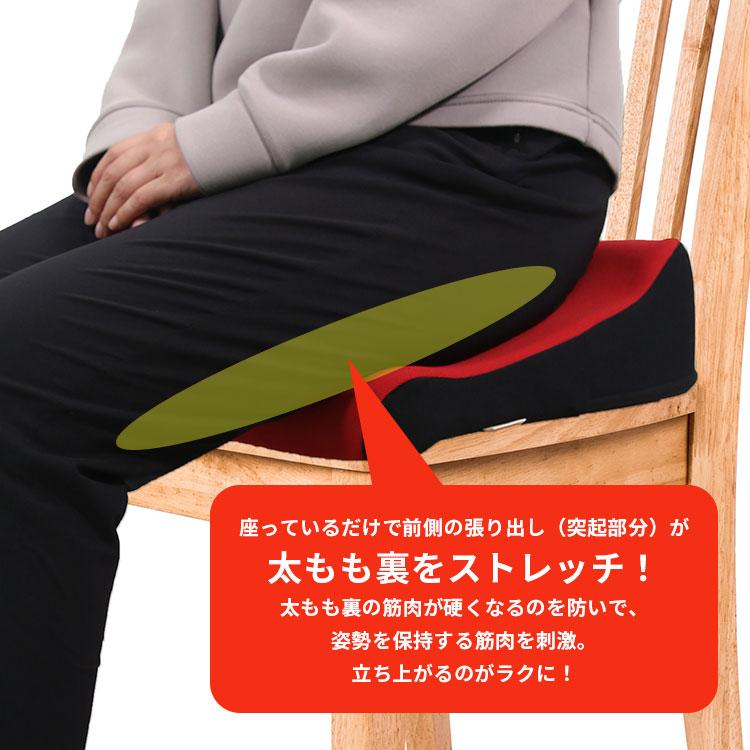 ろっかん式ストレッチクッション｜ストレッチ 姿勢 椅子 座布団