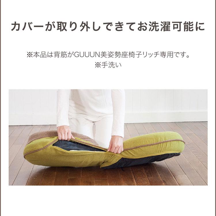 ドリーム 背筋がGUUUN 美姿勢座椅子リッチ/メーカー直送/海外