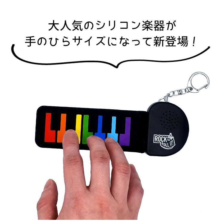 選べる2個セット マイクロレインボーピアノ マイクロカラードラム