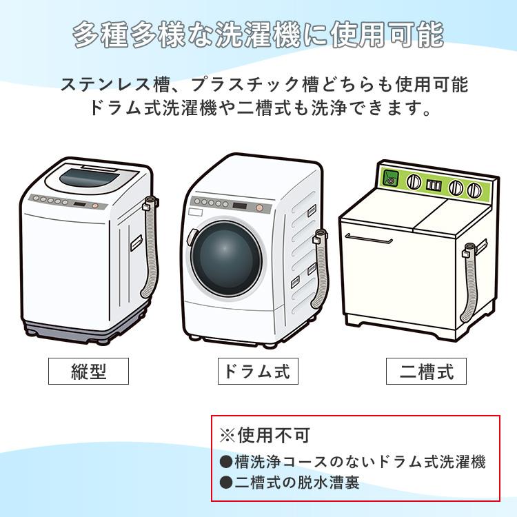 アーネスト（Arnest） 3回分×2個セット 洗濯槽キレイサッパリ