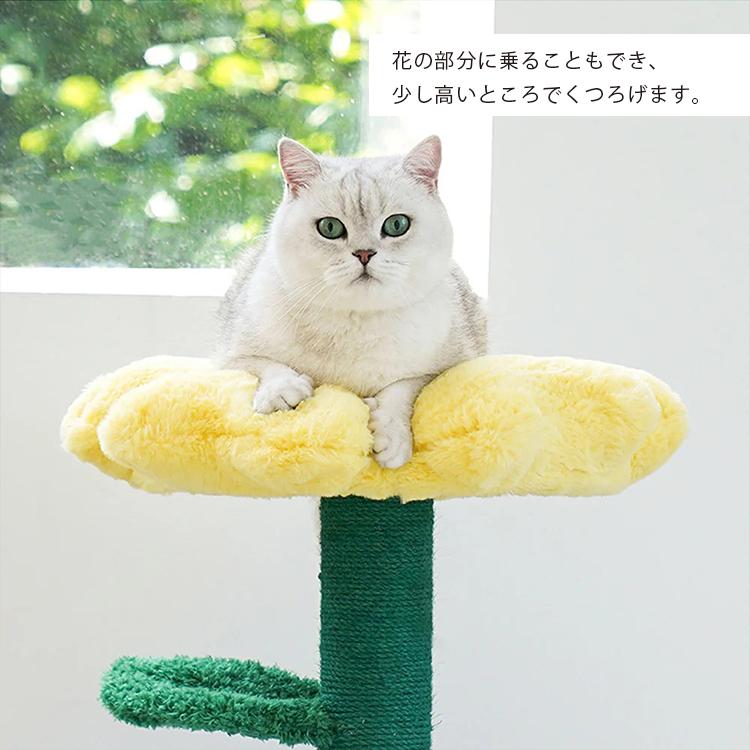 キャットハウス ZEZE POT PET HOUSE YELLOW RED｜キャットタワー ペットハウス ペット