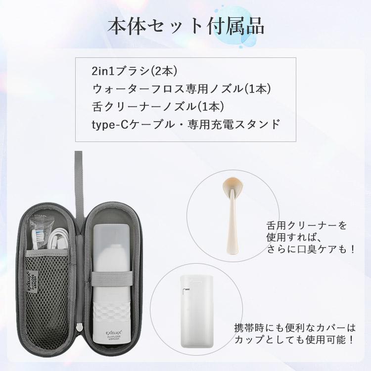 パーフェクトダブルケア 2in1ブラシ＆フロス コンパクト 本体セット