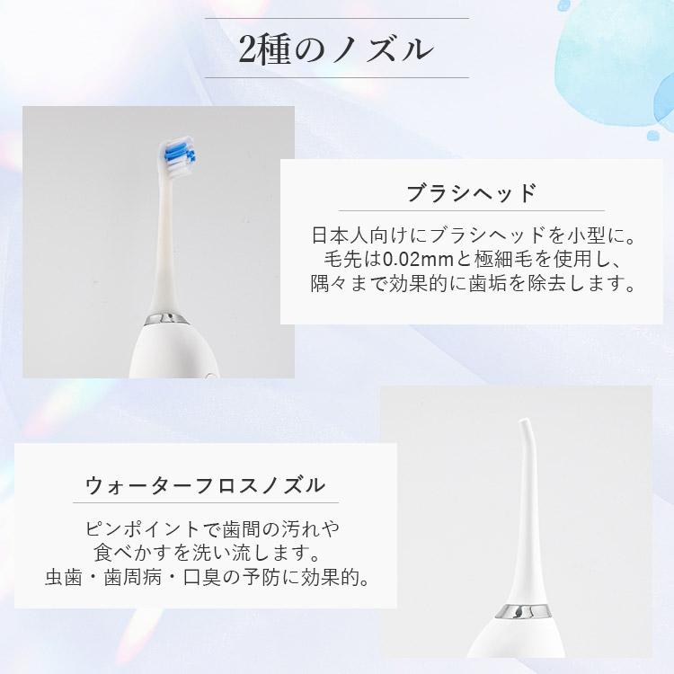 パーフェクトダブルケア 2in1ブラシ＆フロス コンパクト 本体セット