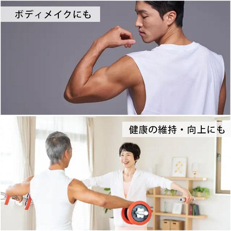 INNODIGYM ホームジムマシン P1 Plus｜トレーニングマシン 筋トレ器具