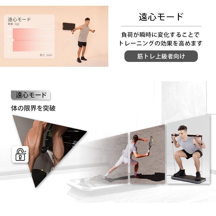 予約 INNODIGYM ホームジムマシン P1 Plus｜トレーニングマシン 筋トレ