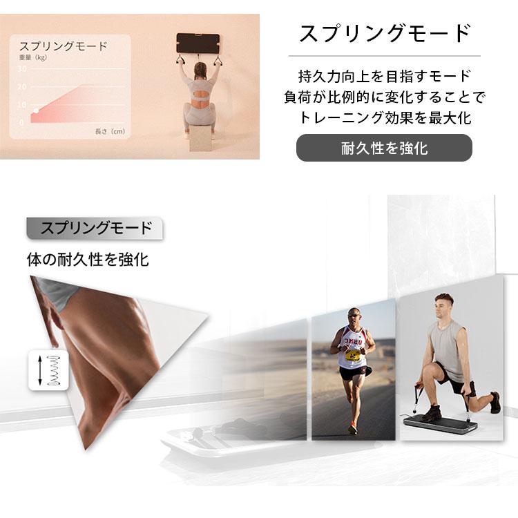 INNODIGYM ホームジムマシン P1 Plus｜トレーニングマシン 筋トレ器具