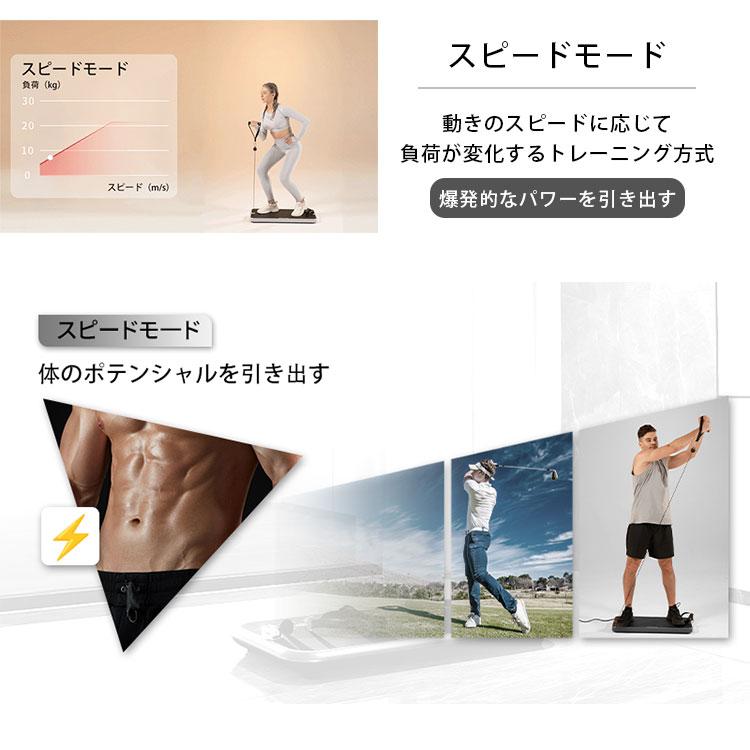 INNODIGYM ホームジムマシン P1 Plus｜トレーニングマシン 筋トレ器具