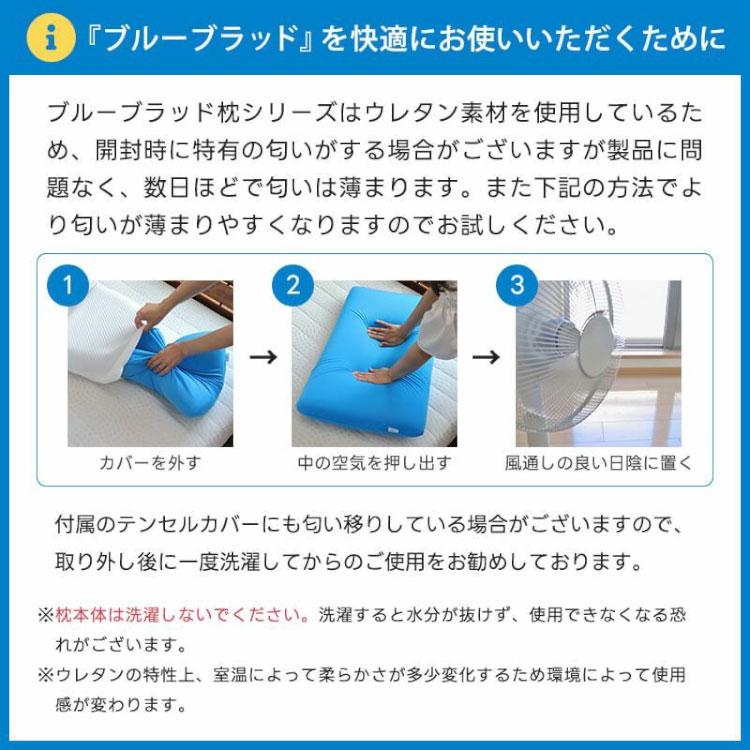 BlueBlood（ブルーブラッド） 枕 マットレスピロー プラーナ 枕