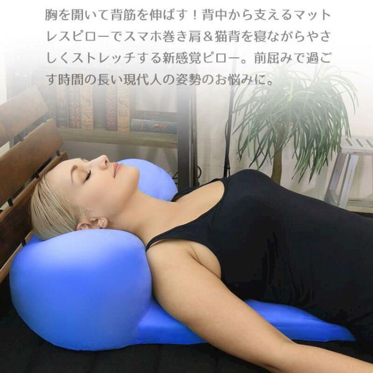 BlueBlood（ブルーブラッド） 枕 マットレスピロー プラーナ 枕