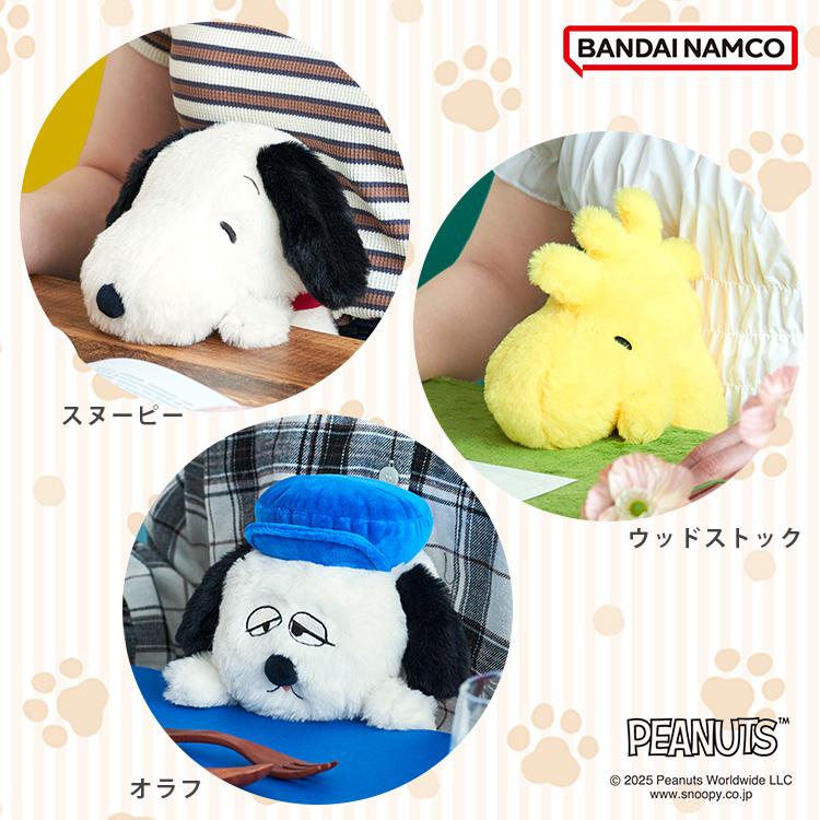 Dreams（ドリームズ） 選べるコンプリートセット ふんばるず PEANUTS