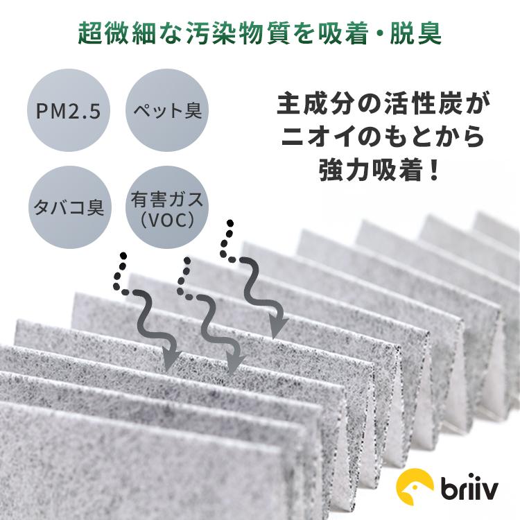 Briiv 2 交換用フィルター ナノマトリックスフィルター 3個セット