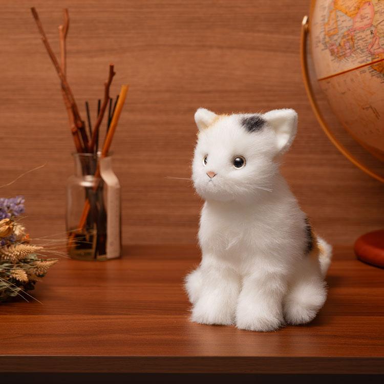 生後２週間♡エキゾチック♡幼猫♡子猫のミイコちゃん♡アートドール♡ぬいぐるみ♡ SOLD OUT❤️マヌル猫ちゃん♡子猫♡ネコアートドール♡里親様募集