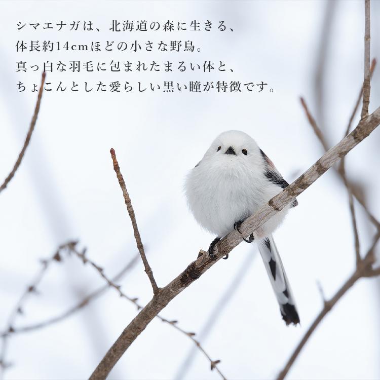 能作 風鈴 シマエナガ｜日本製 真鍮 ふうりん 金属製 鳥モチーフ 小鳥