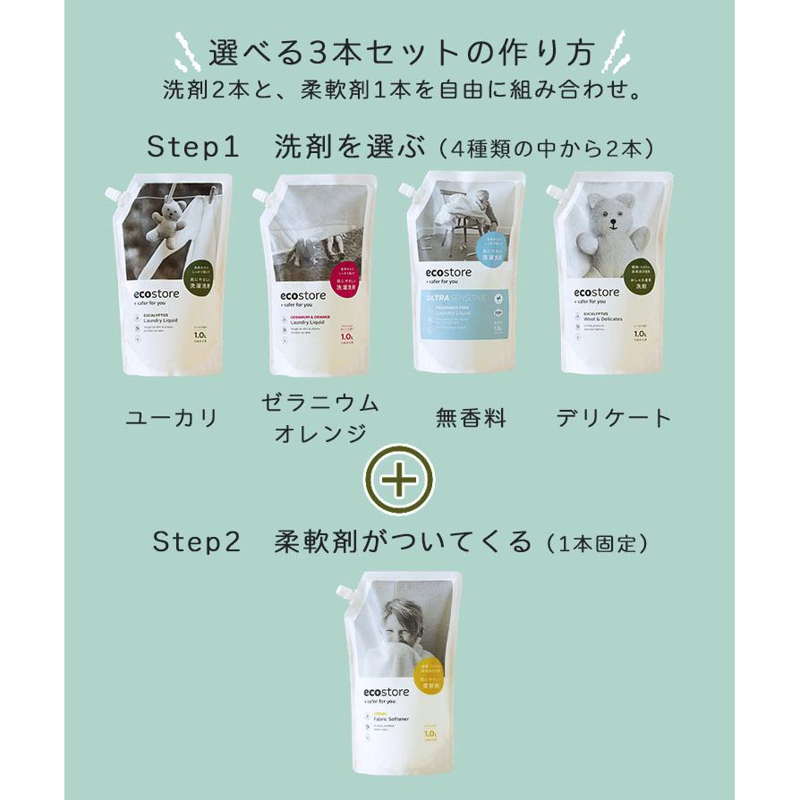 ecostore（エコストア） 選べるリフィルパック 3本セット（洗剤2本＋