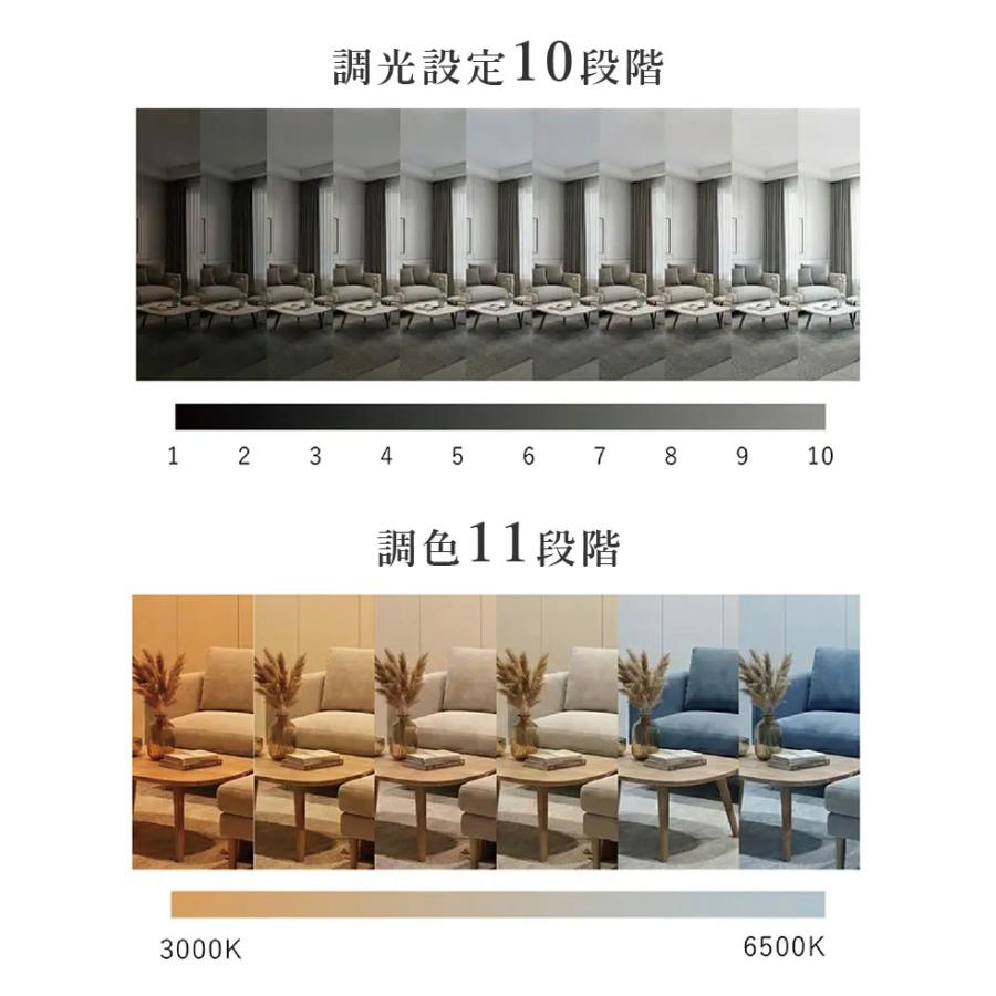 シーリングファンライト 空気清浄機 サーキュレーター 澄のわ 一体型 8