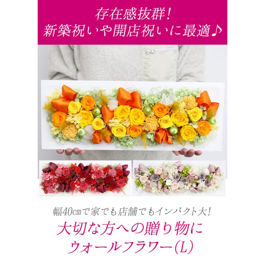 プリザーブドフラワー ウォールフラワー L クリアケース付 母の日 遅れ