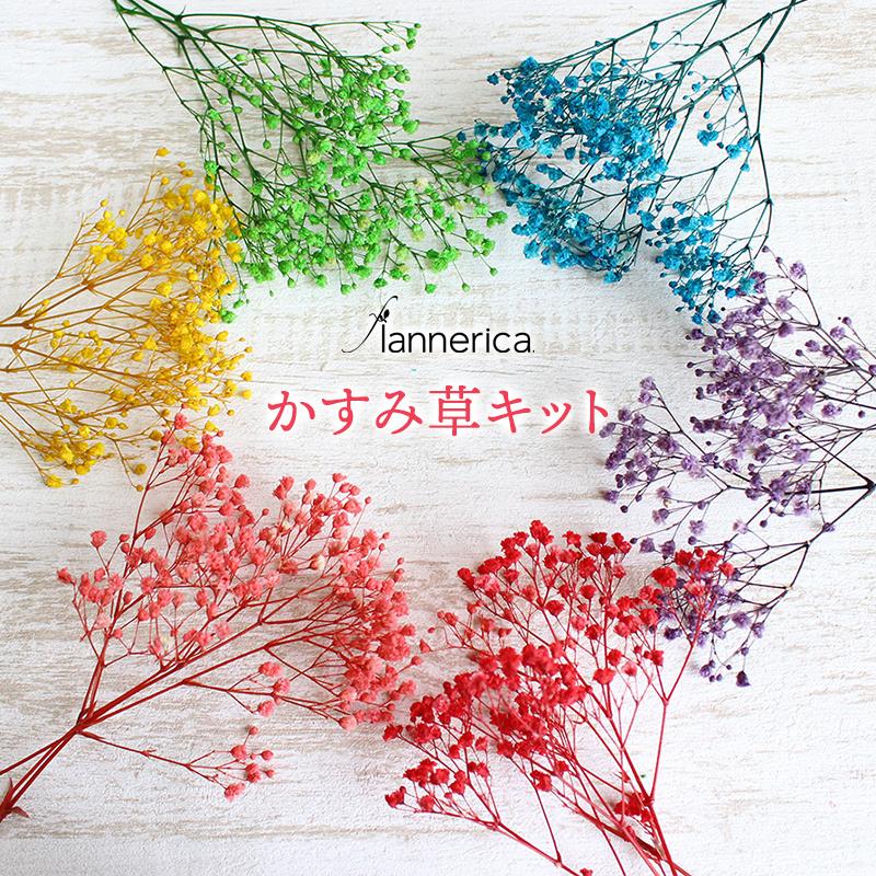 フランネリカ かすみ草キット 4g プリザーブドフラワー 花 ギフト 選べる6カラー ハンドメイド 花材 手作り この商品は送料350円でネコポス発送となります Flannerica 通販 Paypayモール