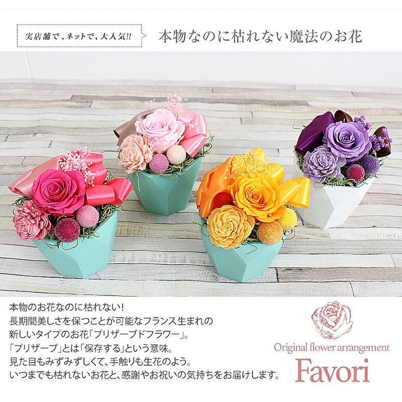 プリザーブドフラワー 仏花 仏壇用 お供え 造花 あすつく 22 ファボリ お悔み 命日 花 一周忌 クリアケース 写真立て 贈り物 Osonae Favori Line 写真と花の専門店 フランネリカ 通販 Yahoo ショッピング
