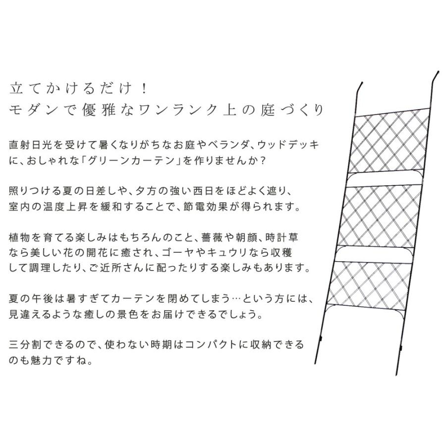 グリーンカーテン 2枚セット ガーデンフェンス アイアンフェンス ガーデニング アンティーク アイアン おしゃれ クラシック モダン Lti Ifgc011 2p Blk フラップシップファニチャー 通販 Yahoo ショッピング