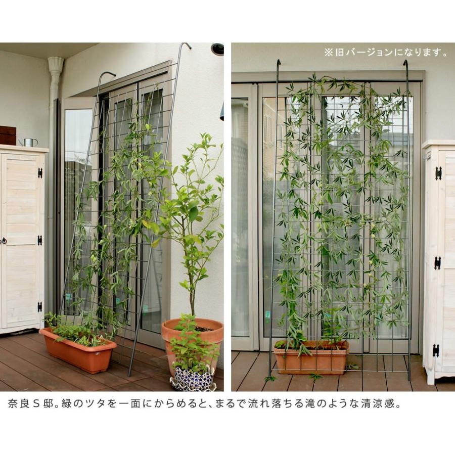 アイアン製グリーンカーテン アーガイル 薔薇 フェンス ゴーヤ バラ 庭 ベランダ グリーンフェンス 送料無料 朝顔 アイアン