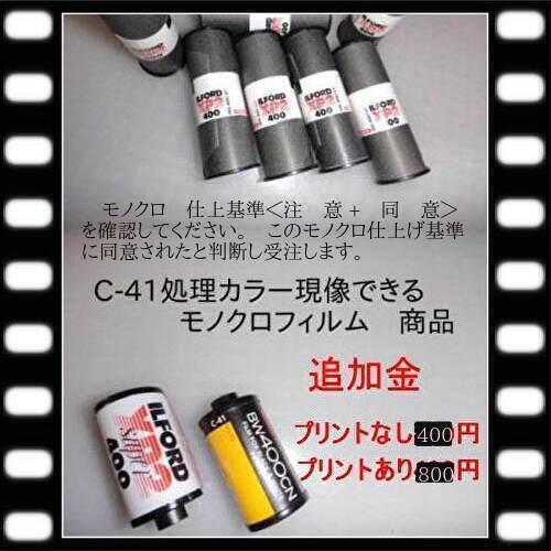 ネガフィルム現像 +データ書込CDまたはDVD （USB持込可） 高解像度１６Ｂ   インデックス１枚「写ルンですＯＫ」ネガ現像フジカラー純正　 | FUJIFILM | 05