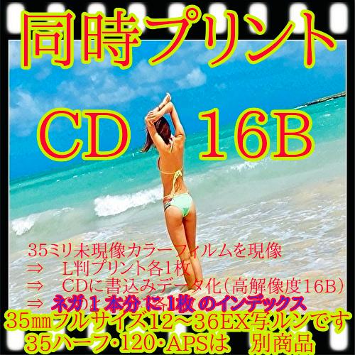 写真現像　カラーネガフィルム現像+L判各１枚プリント+ＣＤデータ書込（高解像度16Ｂ）＋インデックス１枚　同時プリント（現像済みからでも可能） | FUJIFILM