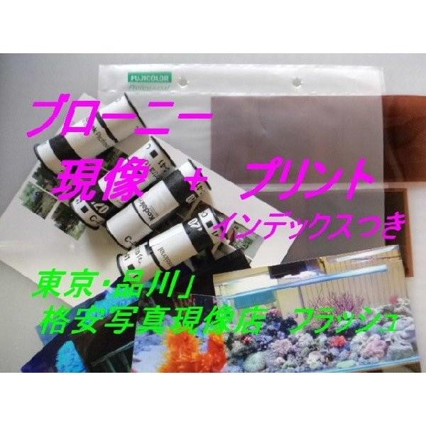 中判カメラ ブローニー120カラーフィルム現像+プリント+インデックス　、フジカラー薬品 | FUJIFILM | 01