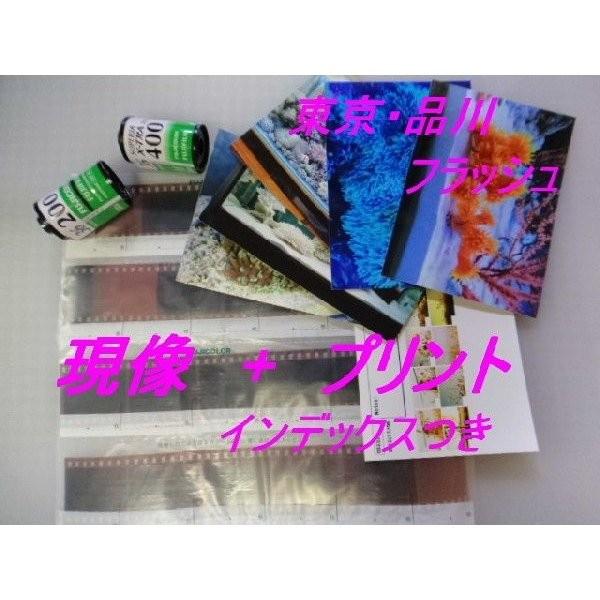 ３５ミリ　フィルム現像＋Ｌ判各１枚プリント+インデックス「写ルンですＯＫ」（現像済みからでも可能） | 富士フイルム Xシステム | 02