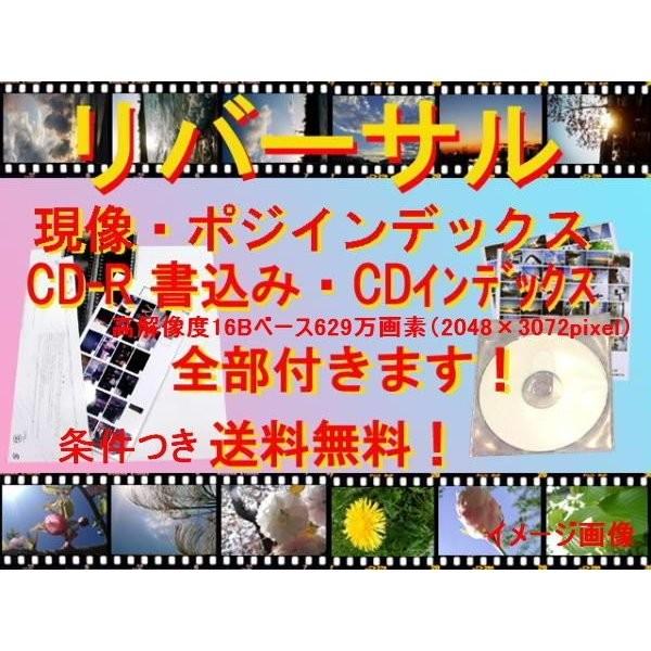 リバーサルフィルム現像+ＣＤ（16Ｂ高解像度でデータ保存）３５ミリ・ブローニー１２０　同価格　（フジカラープロラボ現像）ＦＵＪＩフジ｜flash99｜02