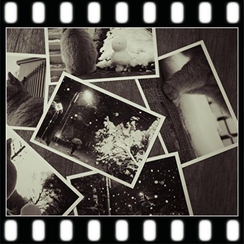 モノクロフィルム現像　+　ＣＤデータ書込（１６Ｂ）＋Ｗインデックス　ＦＵＪＩ　フジ　マリックス Marix　Lomographyロモグラフィー｜flash99｜04