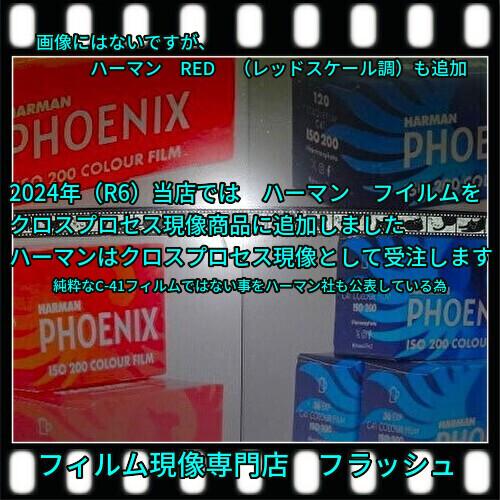 クロスプロセス現像のみ　（ハーフ）　スルー　+　インデックス　　35/120共通　 | 富士フイルム Xシステム | 01