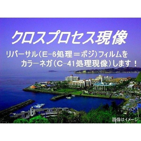 クロスプロセス現像のみ　（ハーフ）　スルー　+　インデックス　　35/120共通　 | 富士フイルム Xシステム | 02