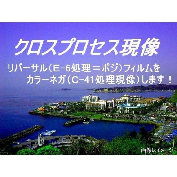ハーフ・クロスプロセス現像+ＣＤつき（高解像度16B） | 富士フイルム Xシステム | 02