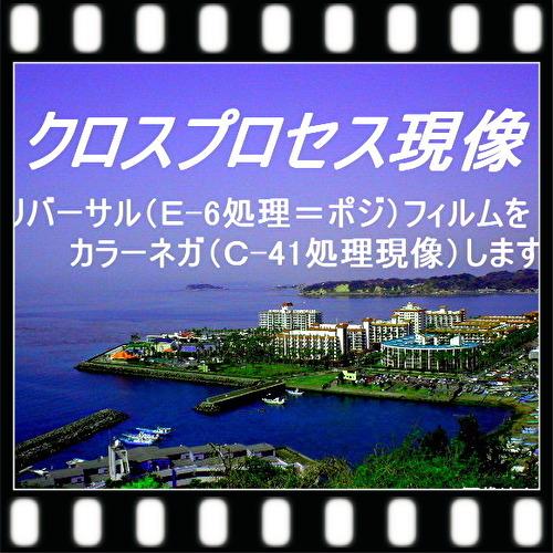 クロスプロセス現像＋プリント+インデックス | Kodak | 04