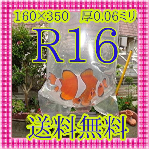 R16-100枚 丸底ビニール袋 パッキング袋 観賞魚ビニール袋