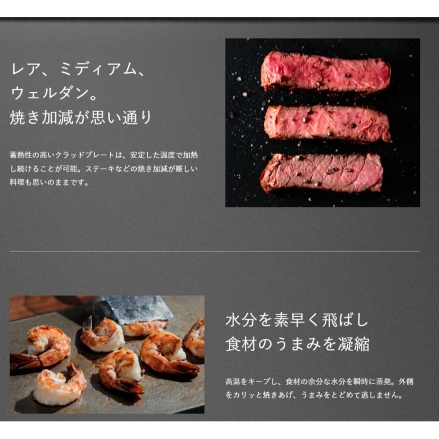 BALMUDA The Plate Pro バルミューダ ザ プレート プロ K10A-BK ホットプレート 6.6mmクラッドプレート 大型 焼肉 温度制御 おしゃれ ブラック K10A-BK ◆宅 | BALMUDA | 02