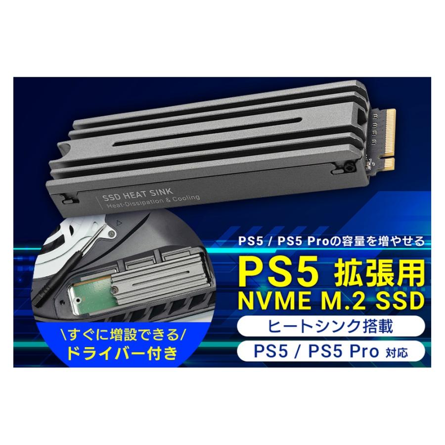 ロジテック M.2 NVMe SSD 2TB M.2-2280 内蔵型 Logitec PS5/PS5Pro対応
