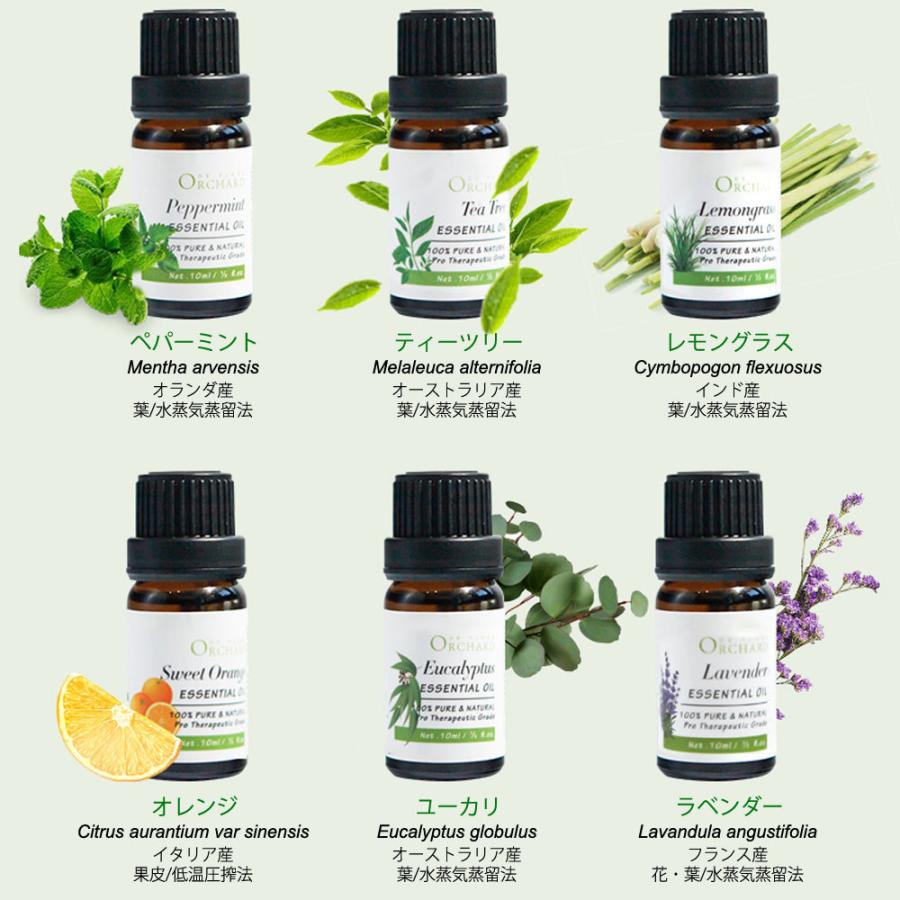 精油 10ml 6種セット オレンジ ユーカリ ペパーミント ティーツリー