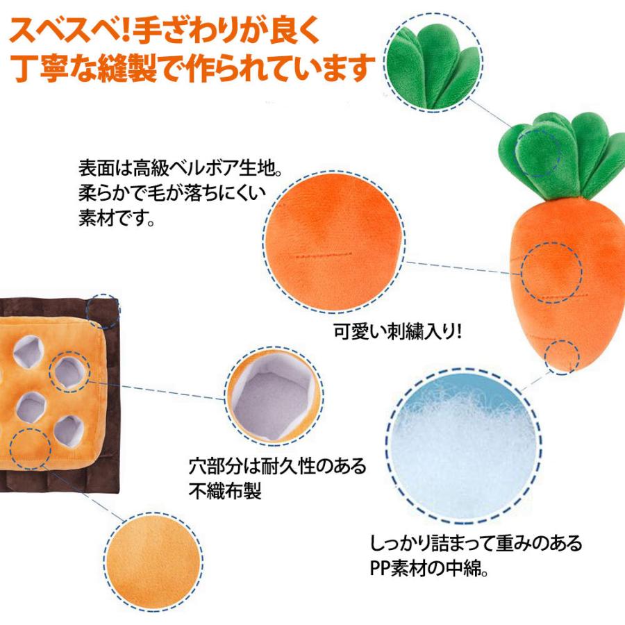 当店限定 音鳴るにんじん1個おまけ にんじん畑 ノーズワーク 犬