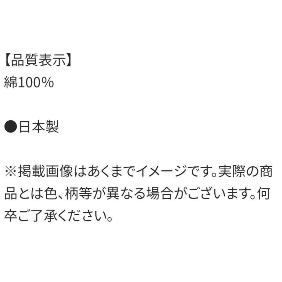 ランチ巾着 プラレール 23 お弁当巾着 お弁当袋 SKATER スケーター 子供 キッズ レディース サイズ290×165×マチ120mm 622724-KB7 ◆メ | スケーター | 03