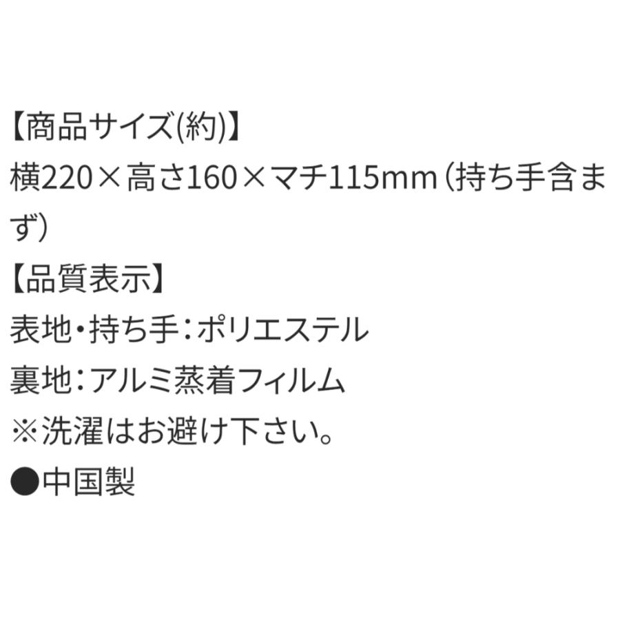 がま口型ランチバッグ ポケットモンスター ピカチュウ SKATER こども 2段タイプ弁当箱 Wファスナー アルミ蒸着素材(内側) 160×220×マチ120mm 644863-KGA1 ◆メ | スケーター | 03