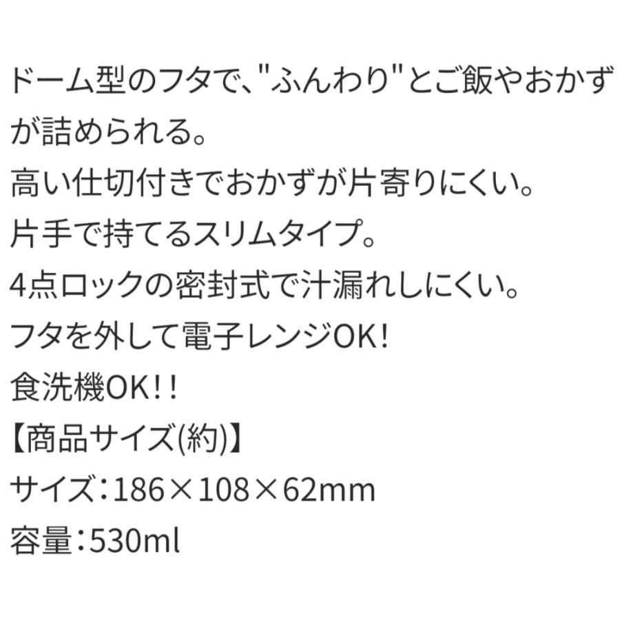 弁当箱 ドーム型ふわっと弁当箱 ポケモン カラフルアート ポケットモンスター SKATER 抗菌 容量530ml 4点ロック 食洗機/電子レンジ対応 667886-PFLB6AG ◆宅 | スケーター | 02