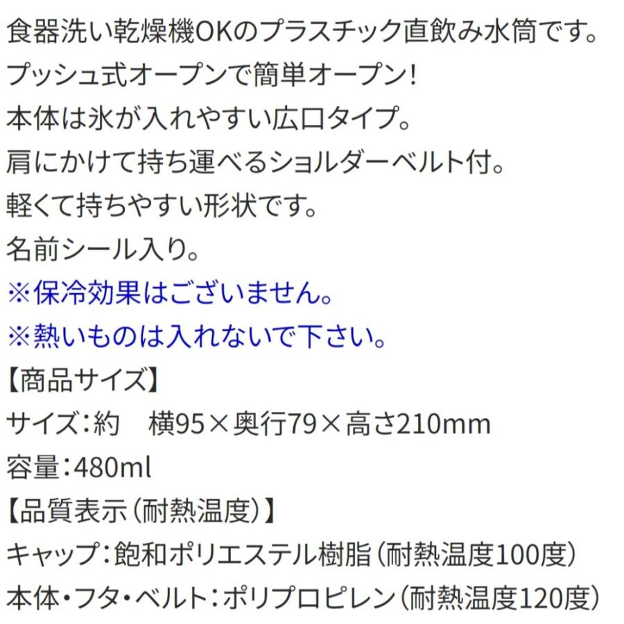 水筒 ギャビーのドールハウス 直飲みプラワンタッチボトル SKATER スケーター 子供 ワンプッシュ式 容量480ml 食洗機対応 抗菌 超軽量 674297-PSB5SANAG ◆宅 | スケーター | 02