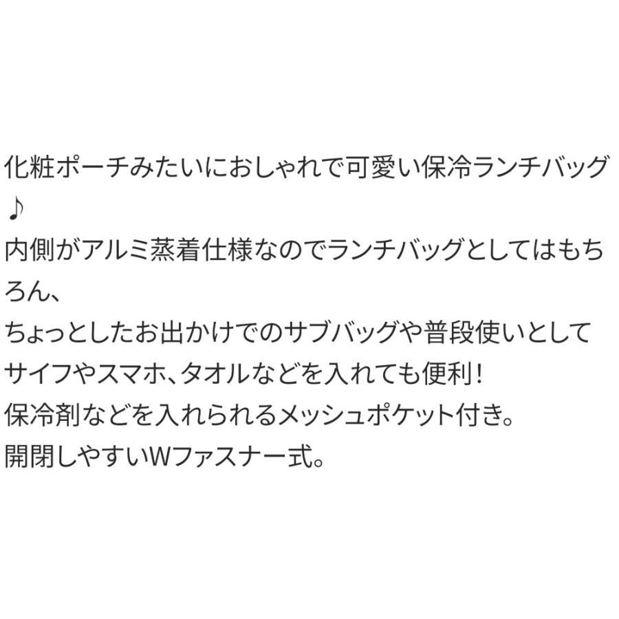 がま口型ランチバッグ ベイマックスとモチ SKATER スケーター 子供 2段タイプ Wファスナー アルミ蒸着素材(内側) サイズ160×220×マチ120mm 677755-KGA1 ◆メ | スケーター | 02